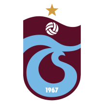 TRABZONSPOR HAYRAN TOPLULUĞU